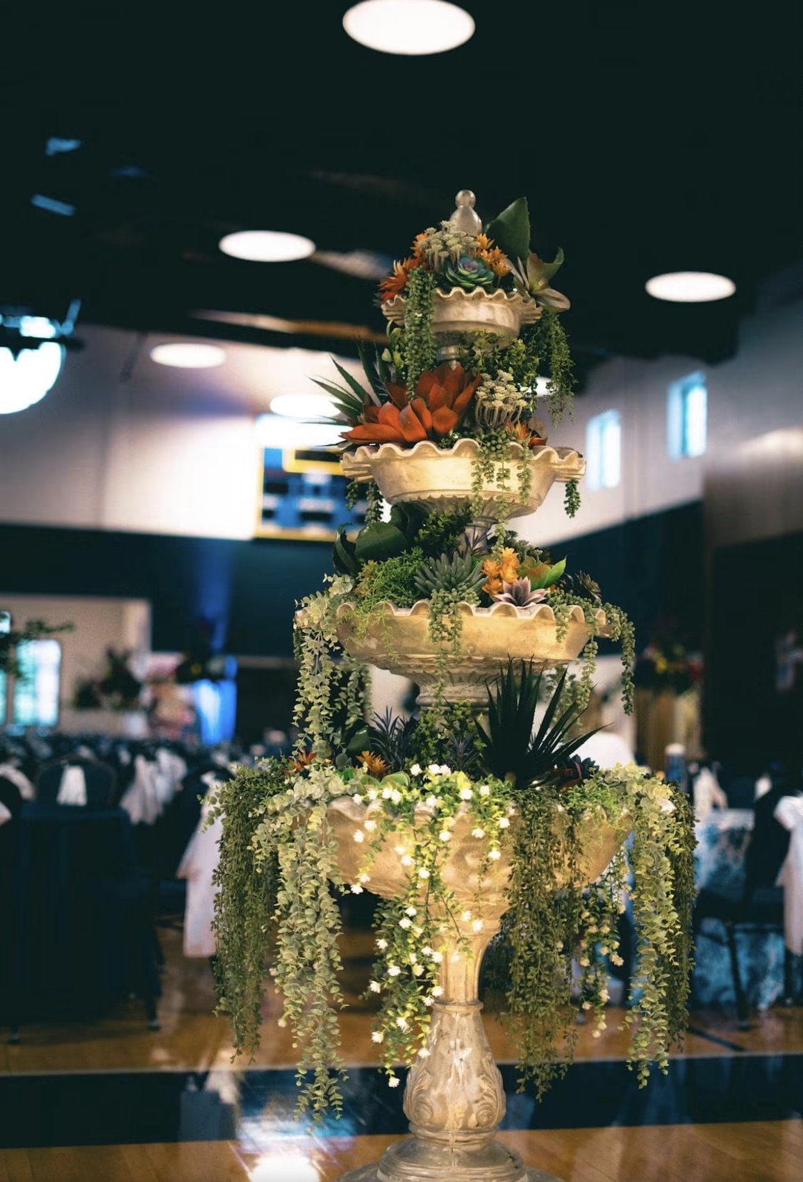 A tiered fountain installation planted with succulents